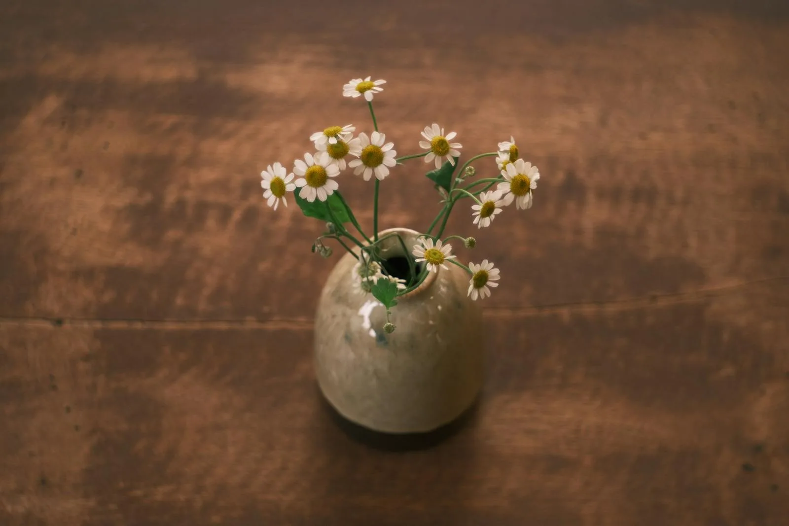 Bouquet de fleurs sauvages dans un vase rustique — composition florale Daubresse